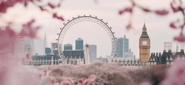 Asset Management Forum 2026