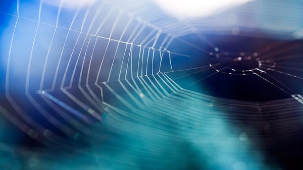 Third Party Ecosystem Risk Management