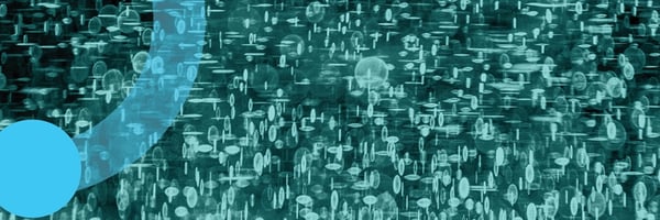 Data Management: Material risk in focus